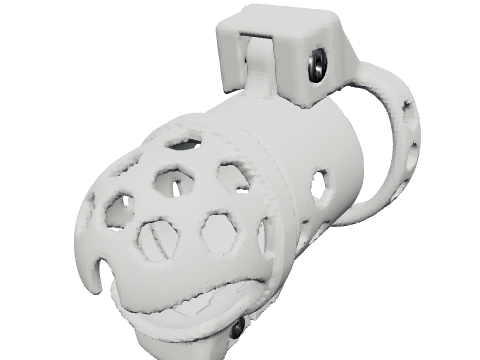 Anatomical hood cage, rendered from the design