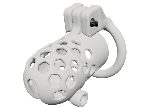 Frenum cage, rendered from the design