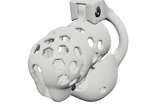 Full enclosure cage, rendered from the design