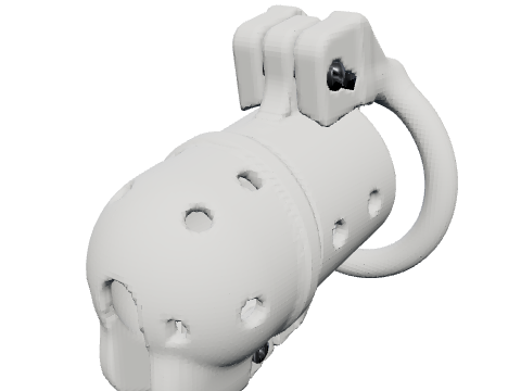 Hollow PA cage, rendered from the design