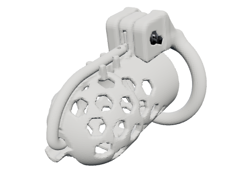 PA wand cage, rendered from the design
