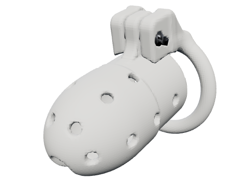 Pointed nose cage, rendered from the design
