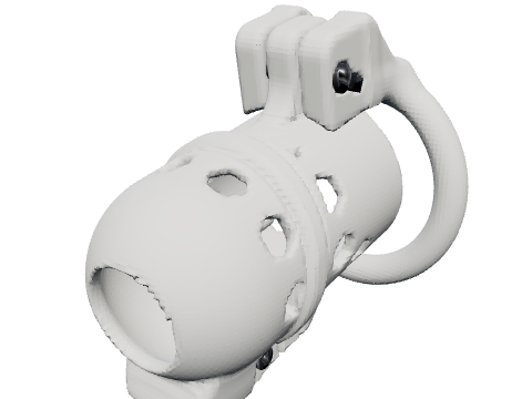Reverse PA cage, rendered from the design