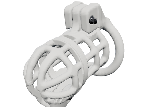 Wire with hoops cage, rendered from the design